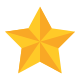 Estrella de Navidad icon