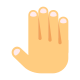 Ganze Hand icon