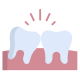 Wisdom Tooth icon