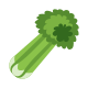 Celery icon