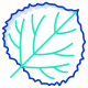 Quaking Aspen Leaf icon