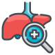 Liver icon