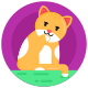 Gato icon