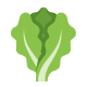 Salade icon