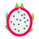 ドラゴンフルーツ icon