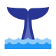 Queue de baleine icon