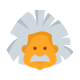 Albert Einstein icon