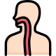 Anatomy icon