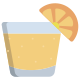 Tequila Shot icon