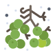 Berries icon