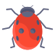 Lady Bug icon