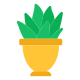Aloe Vera Plant icon