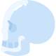 Skull icon