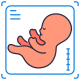 Ultrasound icon