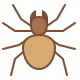 Araña icon