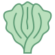 生菜 icon