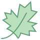 Maple Leaf icon