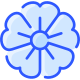 Kirschblüte icon