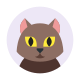 Профиль кошки icon