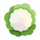 Cavolfiore icon