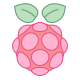 树莓派 icon