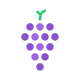 Fruit icon