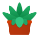 Succulent icon