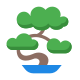 Bonsai icon