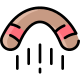 Boomerang icon