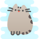 Pusheen icon