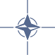 NATO Label icon