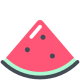 Watermelon icon