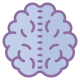 Brain icon