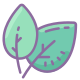 Natural Food icon