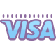 Visa icon