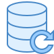 Data Backup icon