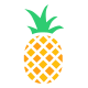 Fruit icon