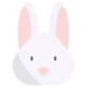 ウサギ icon