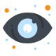 Eye icon