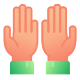 Ganze Hand icon