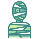 Mummy icon