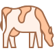 Raza de vaca icon