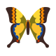 Farfalla Macaone icon