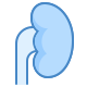 Kidney icon