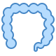 Colon icon