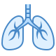 Lungs icon