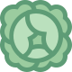 Kohl icon