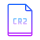 CR2 icon