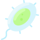 Bacteria icon