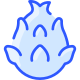 Pitaya icon